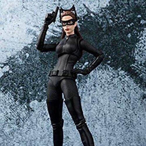 Cat Woman The Dark Knight Figure by Tamashii Nations